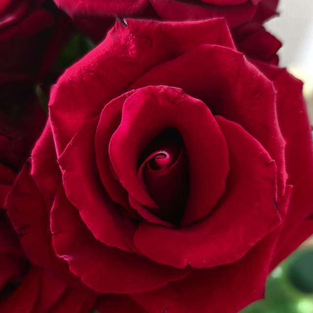 Innen. Wettervorhersagen mit schönen Fotos von Hela Fotos Bayern