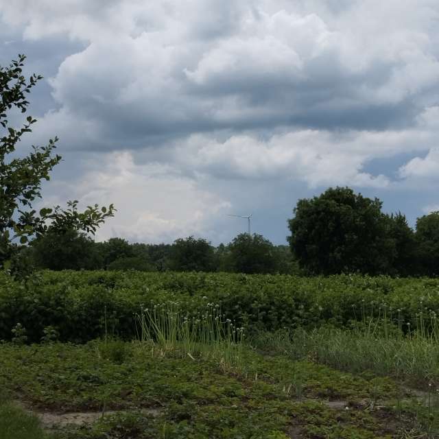 Cloudy. Weather forecasts with beautiful photos by VB Photos in Ukraine