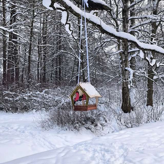 Прогнозы погоды с чудесными фотографиями, сделанными Jea