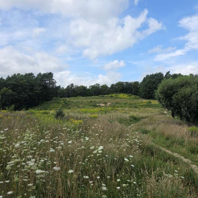 xPrzybyLxの美しい写真による天気予報