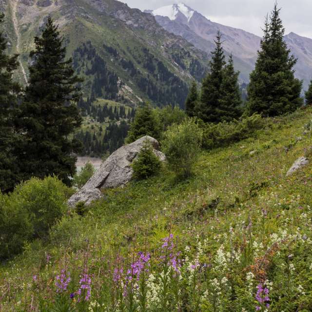 Fotos Colina. Previsões do tempo com lindas fotos de Nymph542 em Almaty