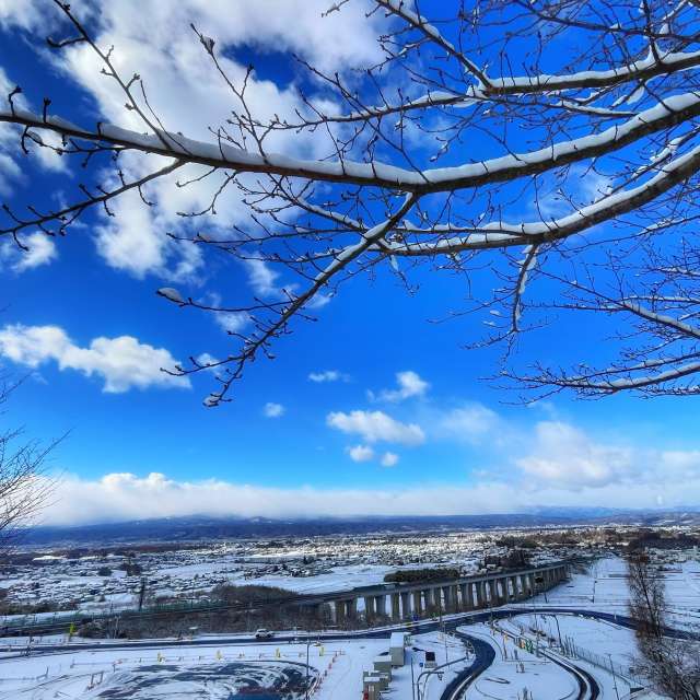 Tree. Weather forecasts with beautiful photos by Kasumisou Photos in Saku-shi