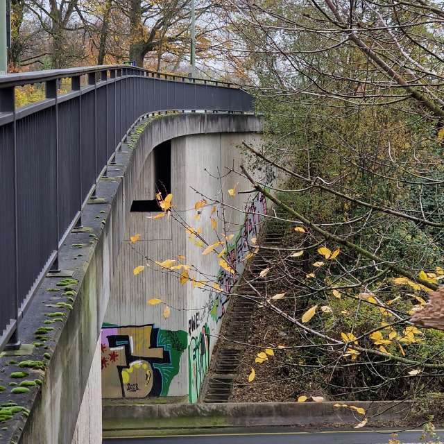 Wettervorhersagen mit schönen Fotos von wsantosphotos