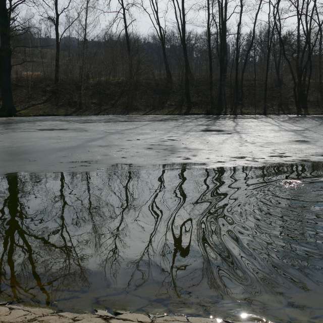 Fotos Lago. Previsões do tempo com lindas fotos de Vasek325 em Praha 12