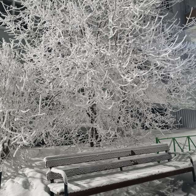 Pronósticos del tiempo con hermosas fotos de Fox_1900