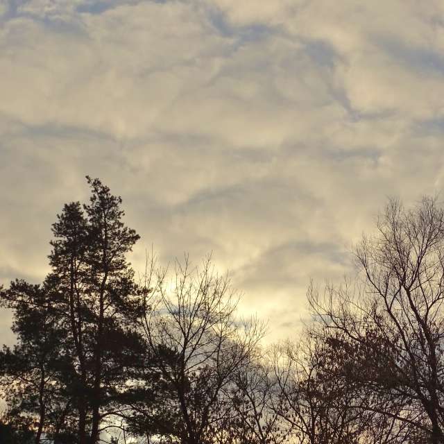 Sheep. Weather forecasts with beautiful photos by Михаил Гавриков Photos in Kharkiv