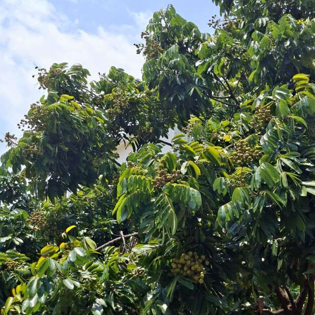 Photos Banc.banc. Prévisions météo avec de superbes photos de Wen-ya Huang de Kaohsiung