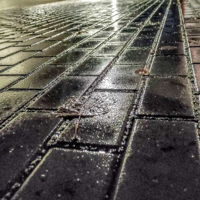 Photos Pluie. Prévisions météo avec de superbes photos de Miloš_SK de Sereď