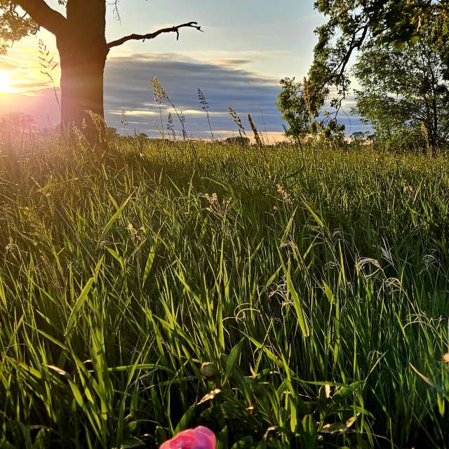 Jd2024の美しい写真による天気予報