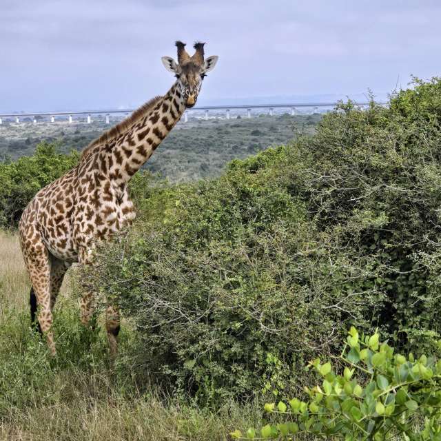 Pronósticos del tiempo con hermosas fotos de Birdy25