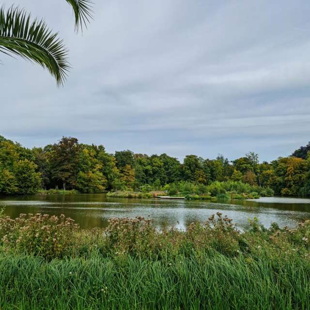 NASTIAの美しい写真による天気予報