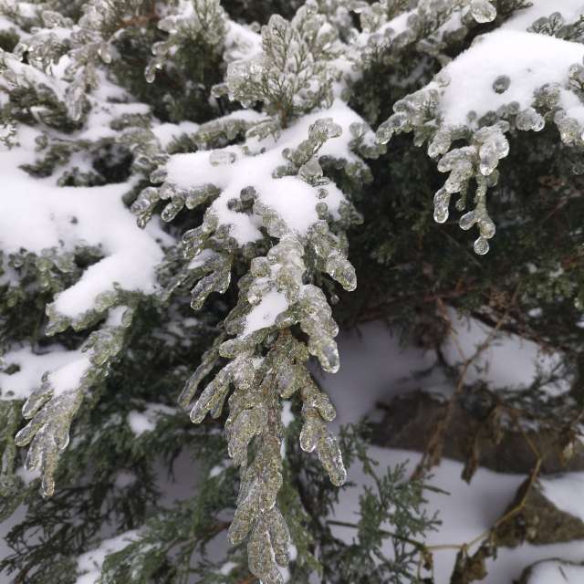 Weather forecasts with beautiful photos by mikhai