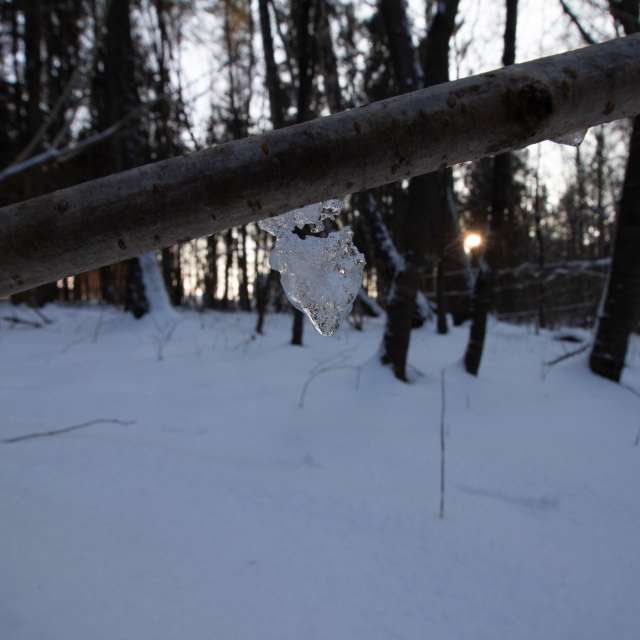 Прогнозы погоды с чудесными фотографиями, сделанными vintilator