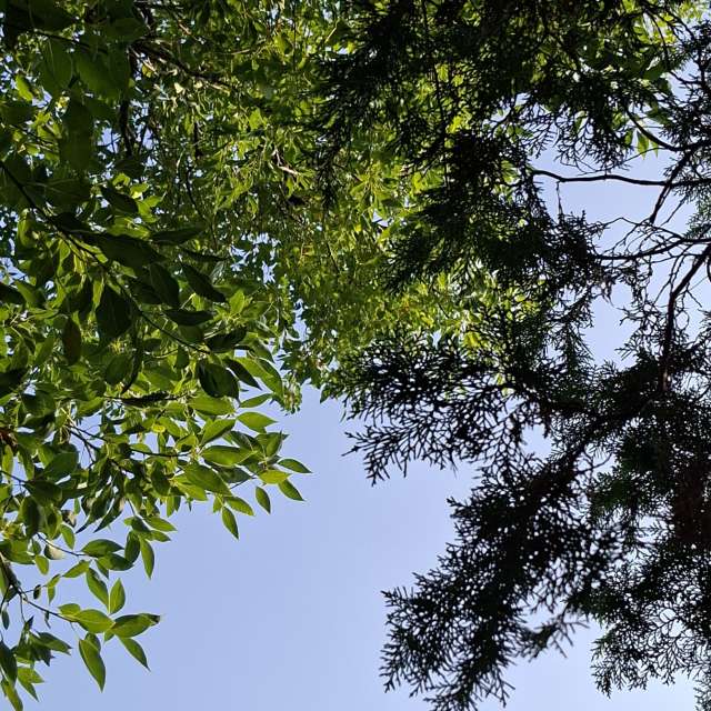 Photos Troupeau. Prévisions météo avec de superbes photos de Wen-ya Huang de Kaohsiung