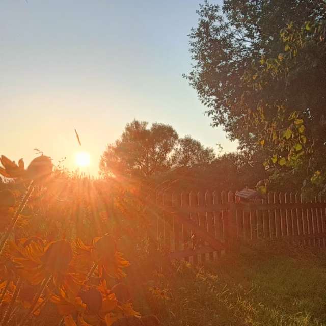 Previsões do tempo com lindas fotos de Muschelschloss