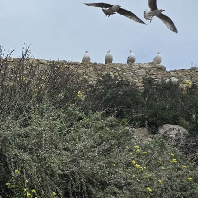 Weather forecasts with beautiful photos by Brtd