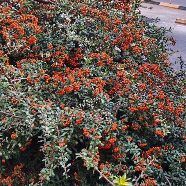 Prévisions météo avec de superbes photos de InnaMoon