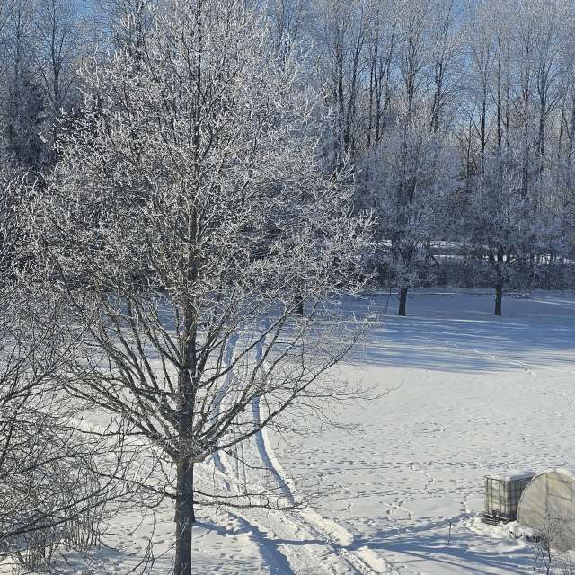 Pronósticos del tiempo con hermosas fotos de Sandra Bokisha