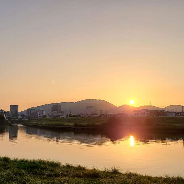Sheep. Weather forecasts with beautiful photos by あさのジジ Photos in Okayama