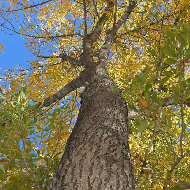 Weather forecasts with beautiful photos by BETOGONZALEZ