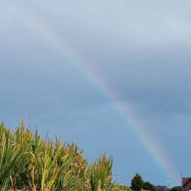 Previsões do tempo com lindas fotos de Niagara