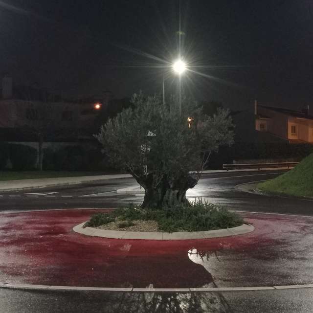 Prévisions météo avec de superbes photos de Joaquim Fonseca