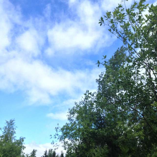 Weather forecasts with beautiful photos by starwars