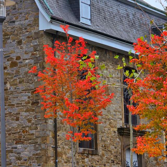 Photos Brique. Prévisions météo avec de superbes photos de Seni de Velbert