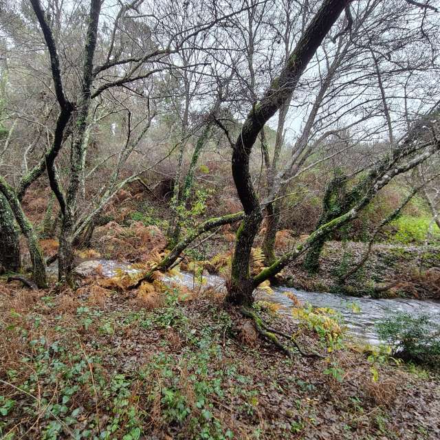 Weather forecasts with beautiful photos by Pcm407