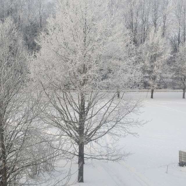 Pronósticos del tiempo con hermosas fotos de Sandra Bokisha