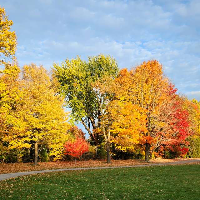 Fotos del Parque. Pronósticos del tiempo con hermosas fotos de KevinG en Gow Park