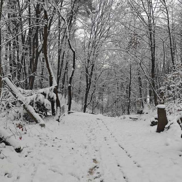 Weather forecasts with beautiful photos by zjabri