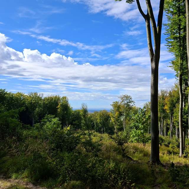 Weather forecasts with beautiful photos by steve2025s