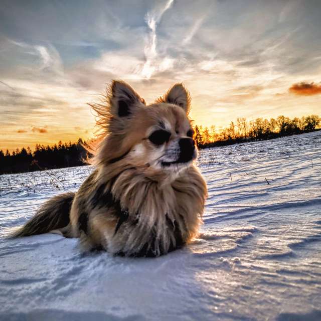 天气预报，带hejpetrpepa精美的照片