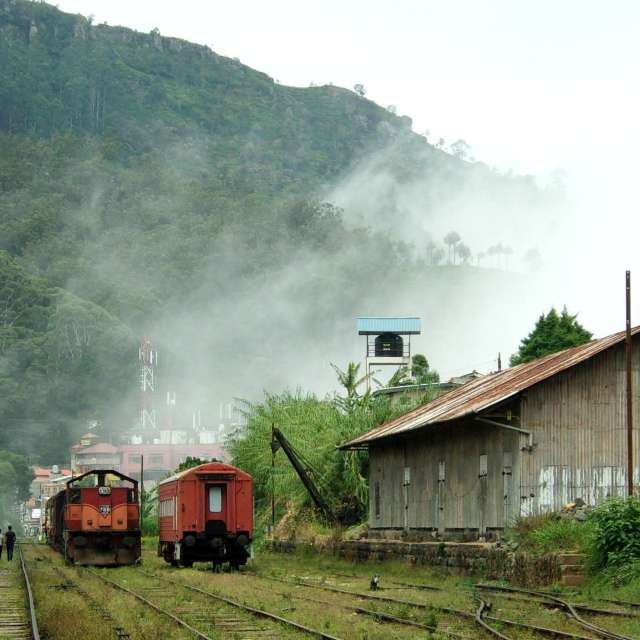 Weather forecasts with beautiful photos by Polamalu