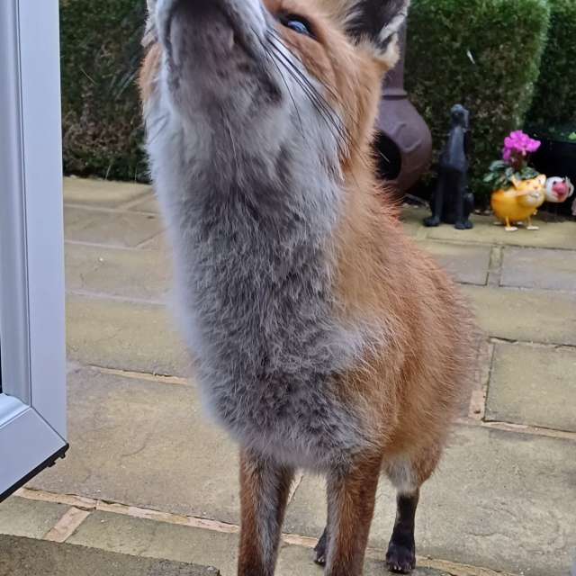 世界の天気写真. Lolliの美しい写真による天気予報