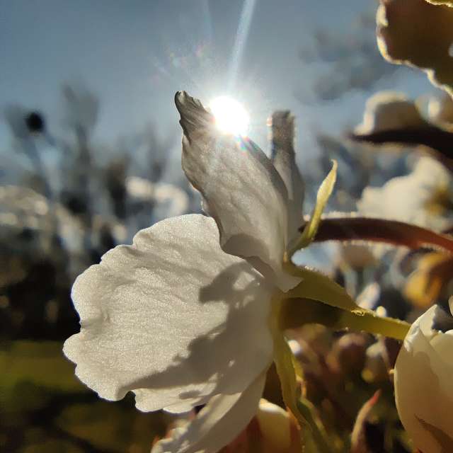 世界的天气照片. 天气预报，带Zorrra精美的照片