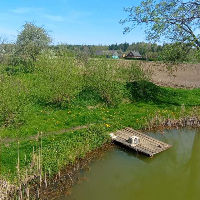Pond. Weather forecasts with beautiful photos by Valiukas Photos in Lithuania