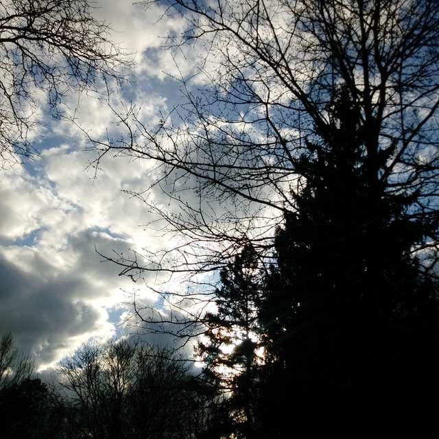 天气预报，带LehCar精美的照片