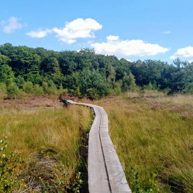 Glasmanの美しい写真による天気予報