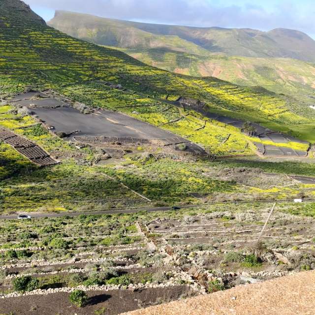 Rocky. Weather forecasts with beautiful photos by maraina Photos in World