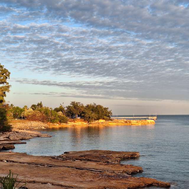 Weather forecasts with beautiful photos by bats