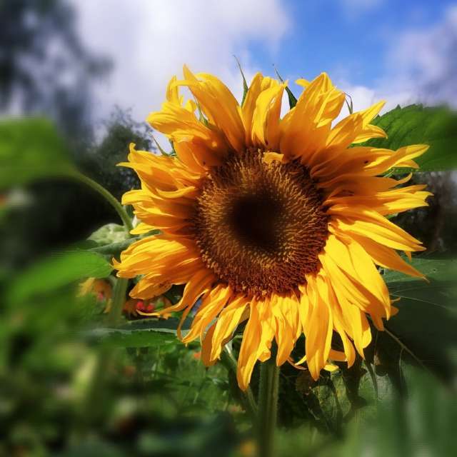 世界的天气照片. 天气预报，带Olena-13精美的照片