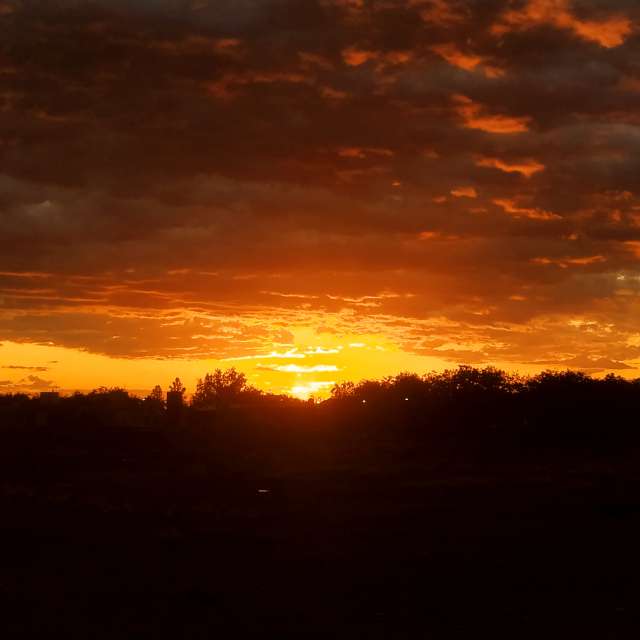 天气预报，带Tyco精美的照片