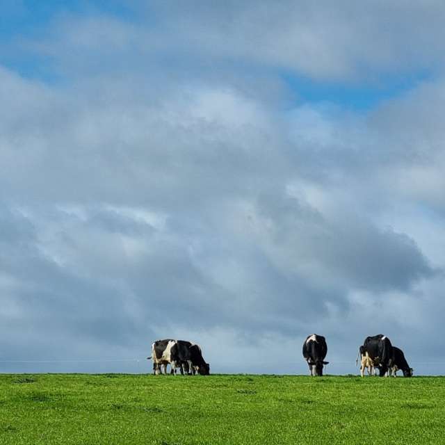 Weather forecasts with beautiful photos by DaB