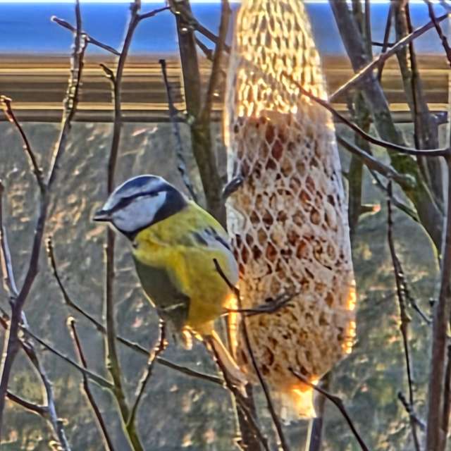 Prévisions météo avec de superbes photos de Seni
