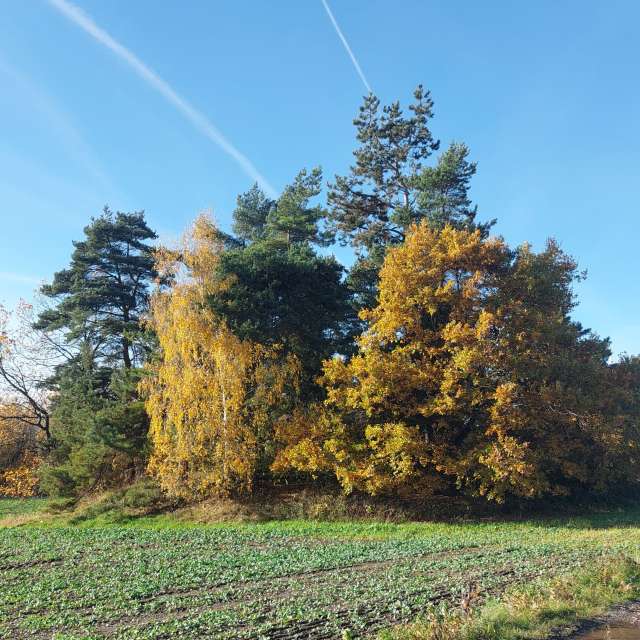 Fotos Pipa. Previsões do tempo com lindas fotos de MaLou em Freiberga