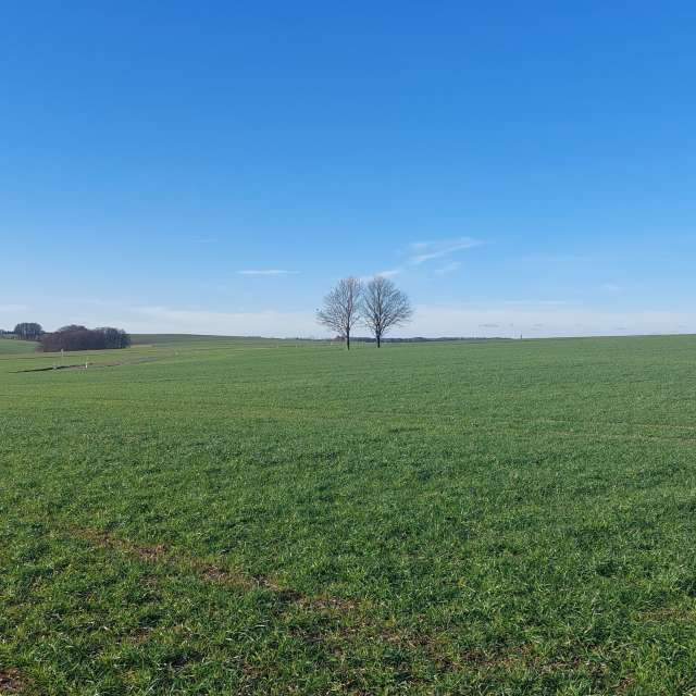 天气预报，带MaLou精美的照片