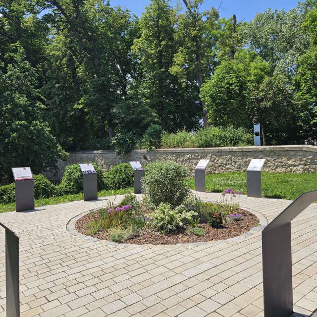 Pronósticos del tiempo con hermosas fotos de serbanra