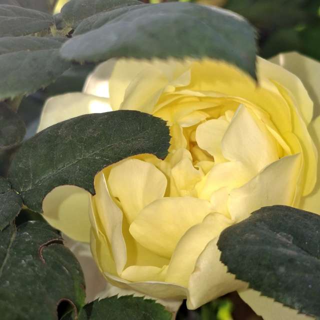 Photos Remplissage. Prévisions météo avec de superbes photos de Wen-ya Huang de Kaohsiung